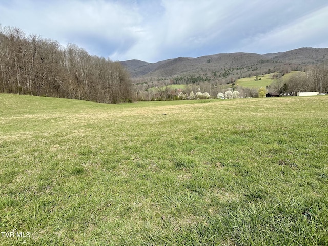 157 Murphy Ln, Elizabethton TN, 37643 land for sale