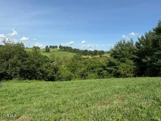 Tbd Azure Lane, Abingdon, VA 24211 - photo 1