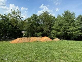 Tbd Azure Lane, Abingdon, VA 24211 - photo 8