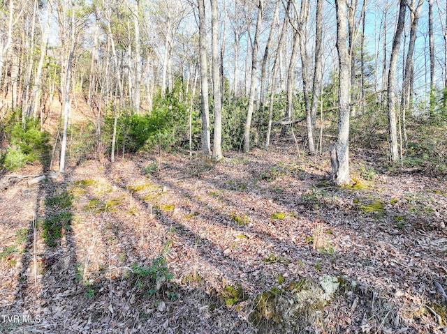 Listing photo 3 for TBD Black Oak Dr, Sevierville TN 37876