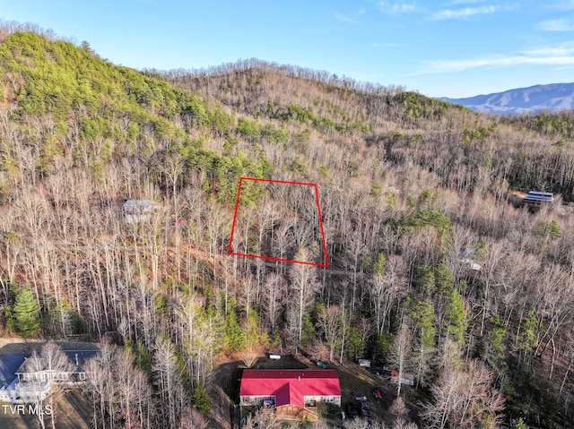 TBD Black Oak Dr, Sevierville TN, 37876 land for sale