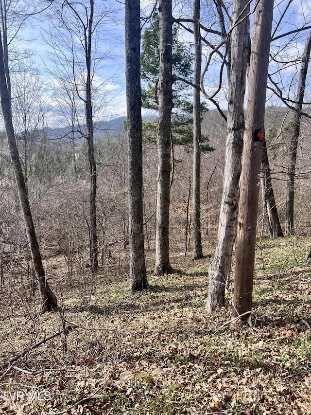 Listing photo 3 for 00 Mccurry Rd, Unicoi TN 37692