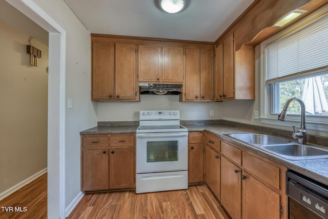 kitchen with white electric range oven, black dishwasher, light wood-style flooring, under cabinet range hood, and a sink