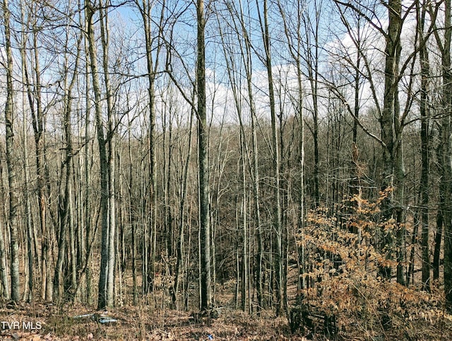 view of nature featuring a forest view