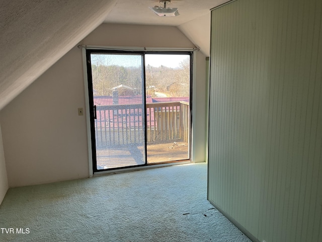 additional living space featuring lofted ceiling and carpet