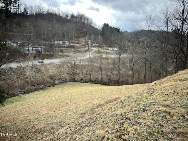 view of yard with a view of trees