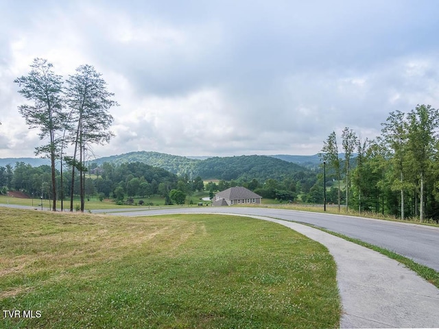 Listing photo 3 for 12261230 Ridgetop Trl, Kingsport TN 37664