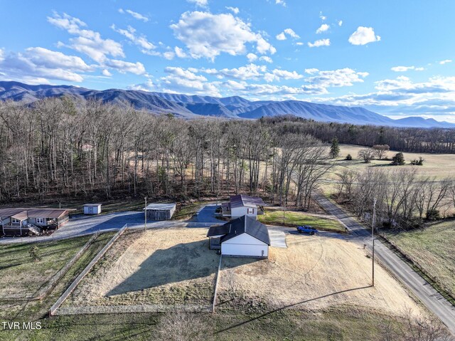 625 Seaton Rd, Afton, TN 37616 - photo 6