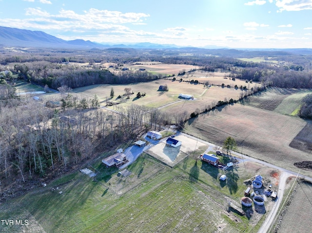 625 Seaton Rd, Afton, TN 37616 - photo 10