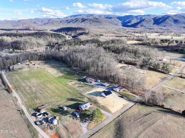 625 Seaton Rd, Afton, TN 37616 - photo 13