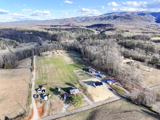 625 Seaton Rd, Afton, TN 37616 - photo 14
