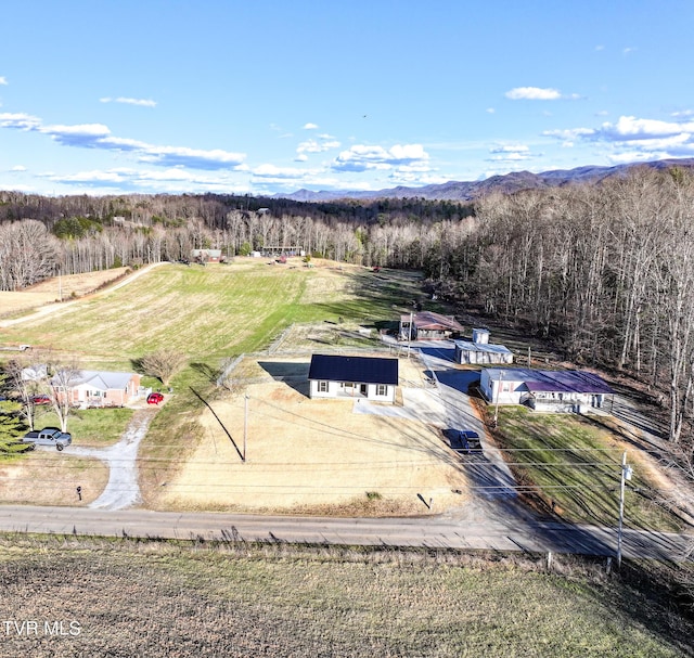 625 Seaton Rd, Afton, TN 37616 - photo 15
