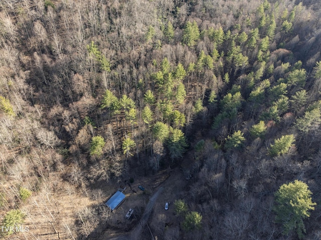 841 Green Rd, Butler TN, 37640 land for sale