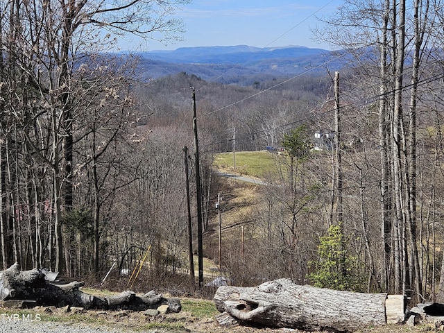 view of mountain feature with a wooded view