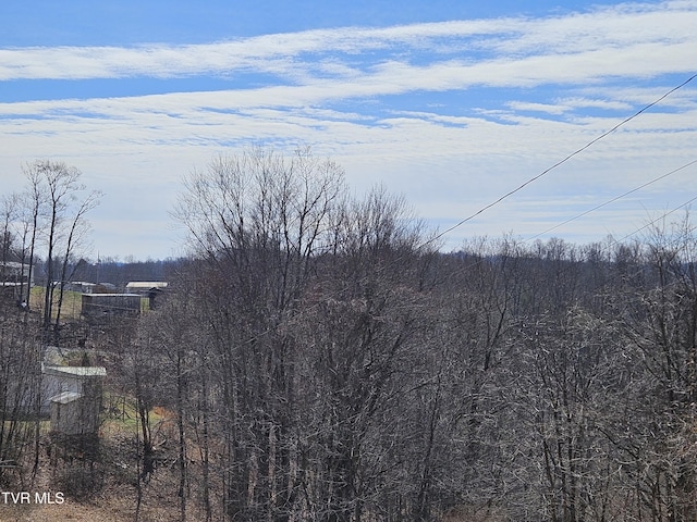 view of mountain feature featuring a wooded view