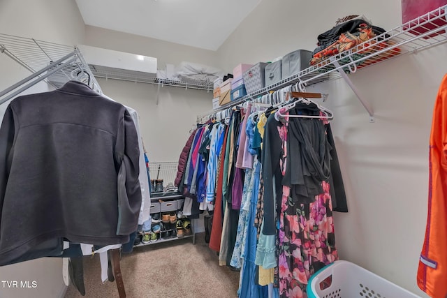 walk in closet with carpet