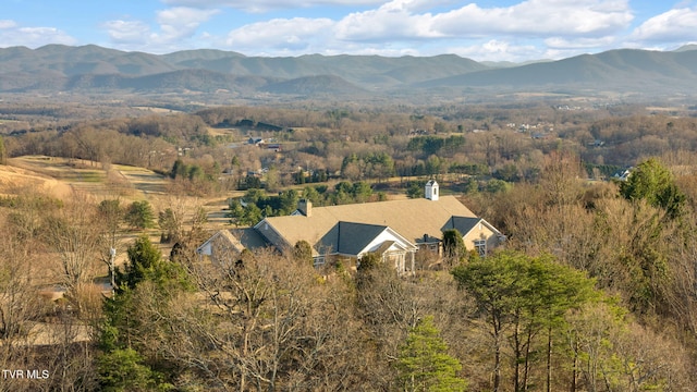 birds eye view of property featuring a mountain view