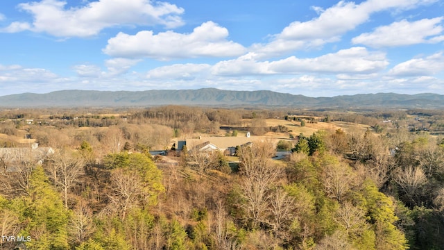 view of mountain feature featuring a forest view