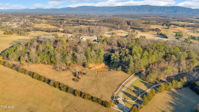 aerial view featuring a mountain view