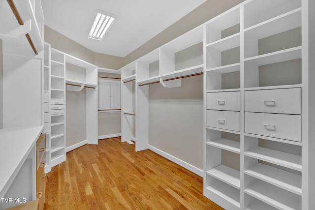 spacious closet featuring light wood-style floors