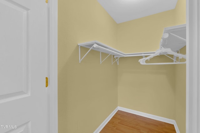 spacious closet featuring wood finished floors