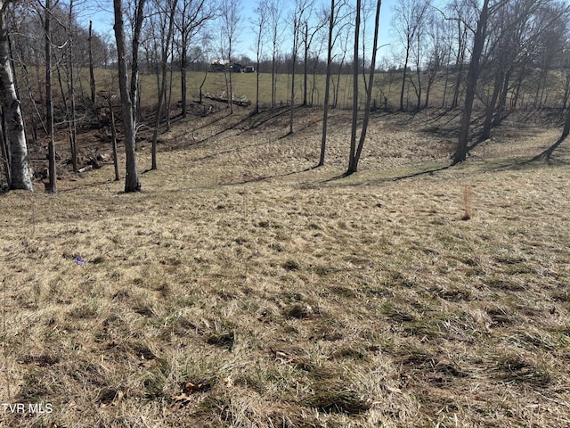 view of nature with a rural view