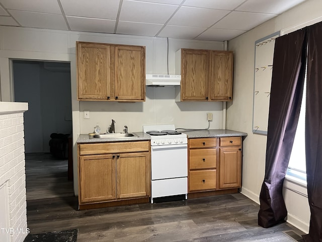 kitchen with white electric stove, a drop ceiling, dark wood-type flooring, under cabinet range hood, and a sink