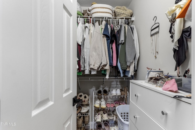 view of spacious closet