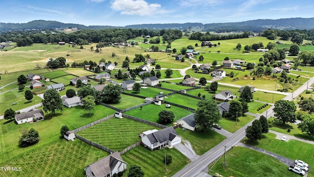199 Douglas Chapel Rd, Jonesborough, TN 37659 - overview of rural landscape featuring a mountainous background