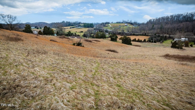 Listing photo 2 for TBD Sand Valley Rd, Jonesborough TN 37659