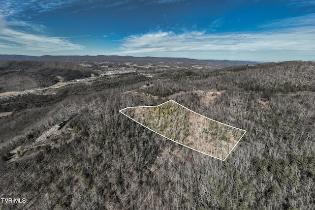 Listing photo 3 for TBD Iroquois Rd, Mountain City TN 37683