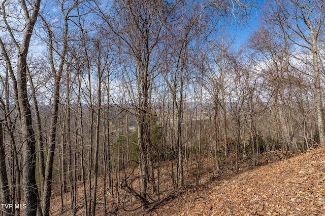 TBD Iroquois Rd, Mountain City TN, 37683 land for sale