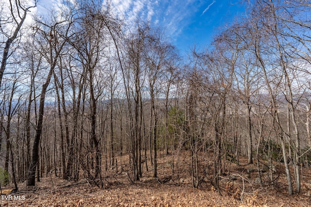 Listing photo 2 for TBD Iroquois Rd, Mountain City TN 37683