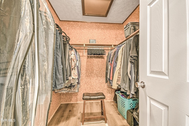 spacious closet with attic access and wood finished floors