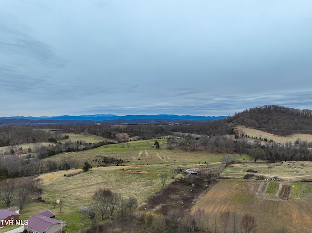 property view of mountains with a rural view