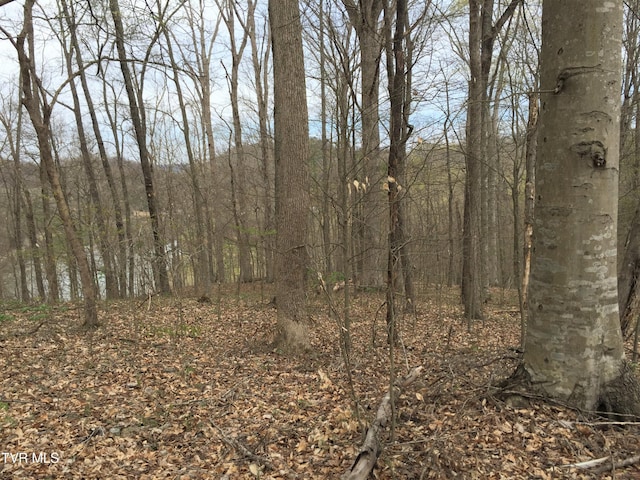 00 Horseshoe Bend Rd, Rogersville, TN 37857 - photo 1