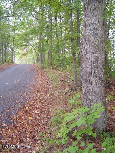 00 Horseshoe Bend Rd, Rogersville, TN 37857 - photo 6