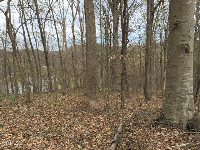00 Horseshoe Bend Rd, Rogersville, TN 37857 - photo 3