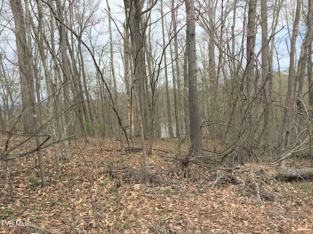 00 Horseshoe Bend Rd, Rogersville, TN 37857 - photo 4