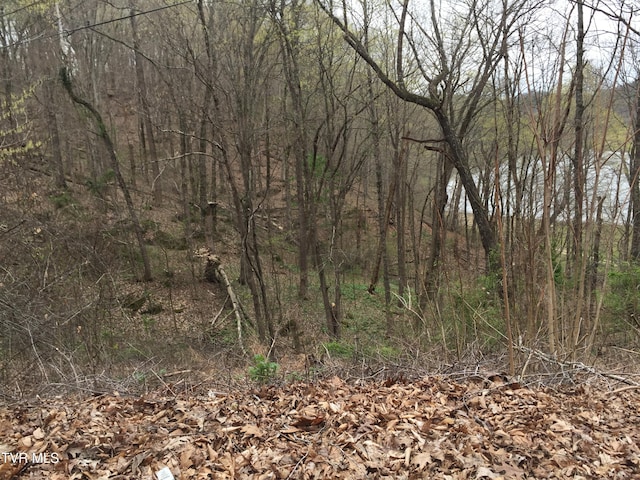 00 Horseshoe Bend Rd, Rogersville, TN 37857 - photo 5