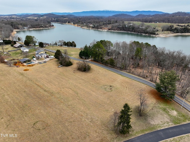 TBD Sugar Hollow Rd, Piney Flats TN, 37686 land for sale