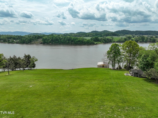 604 Sugar Hollow Rd, Piney Flats, TN 37686 - photo 2