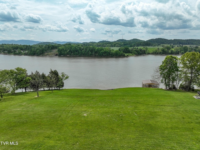 604 Sugar Hollow Rd, Piney Flats, TN 37686 - photo 3