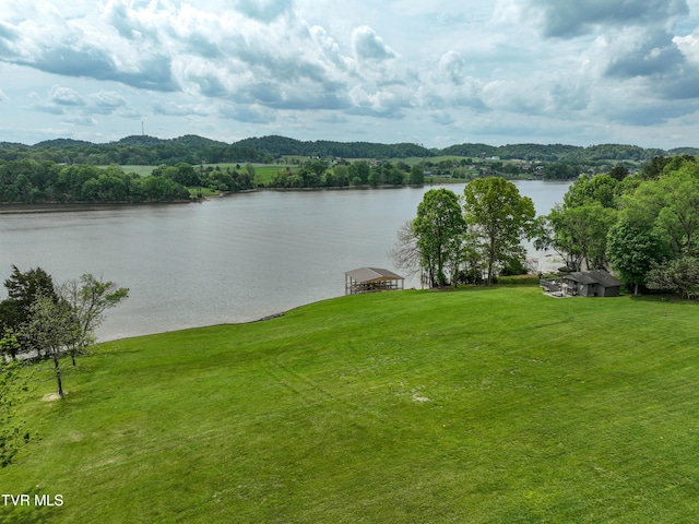 604 Sugar Hollow Rd, Piney Flats, TN 37686 - photo 4