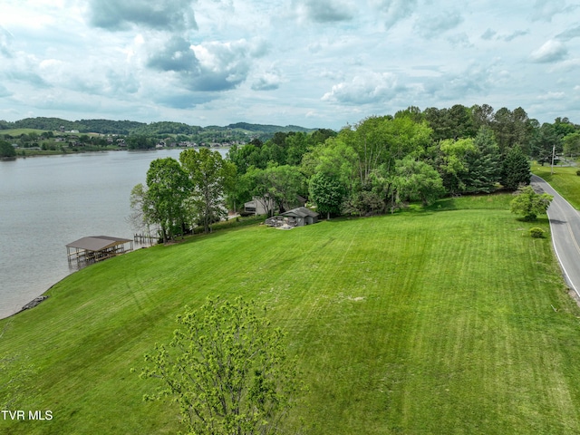604 Sugar Hollow Rd, Piney Flats, TN 37686 - photo 5