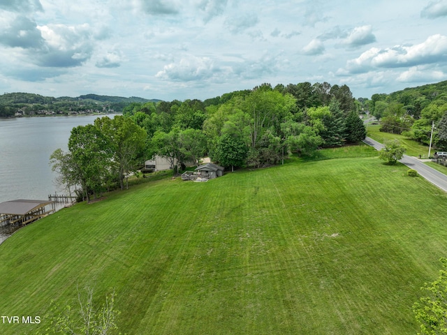 604 Sugar Hollow Rd, Piney Flats, TN 37686 - photo 6