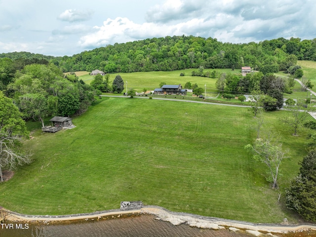 604 Sugar Hollow Rd, Piney Flats, TN 37686 - photo 8