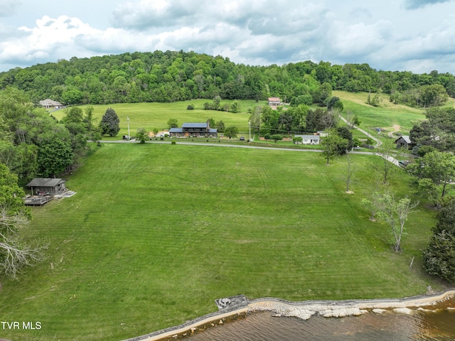 604 Sugar Hollow Rd, Piney Flats, TN 37686 - photo 9