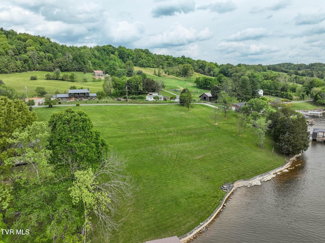 604 Sugar Hollow Rd, Piney Flats, TN 37686 - photo 10