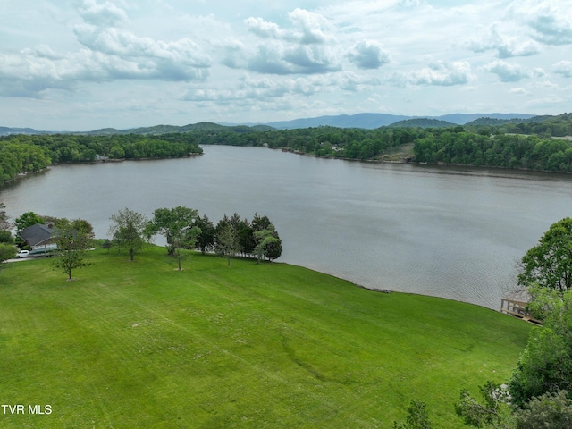 604 Sugar Hollow Rd, Piney Flats, TN 37686 - photo 12